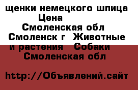 щенки немецкого шпица › Цена ­ 12 000 - Смоленская обл., Смоленск г. Животные и растения » Собаки   . Смоленская обл.